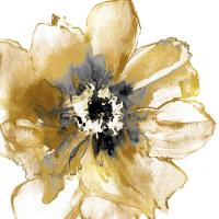 Golden I #VAU115104 Golden I #VAU115104