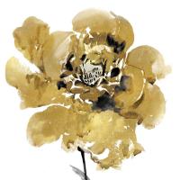 Golden II #VAU115105 Golden II #VAU115105