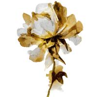 Fresh Bloom I #VAU115106 Fresh Bloom I #VAU115106