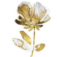 Fresh Bloom II #VAU115107 Fresh Bloom II #VAU115107
