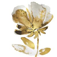 Fresh Bloom IV #VAU115109 Fresh Bloom IV #VAU115109