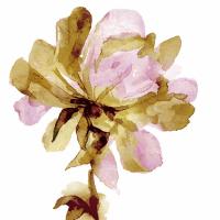 Fresh Bloom Pink I #VAU115112 Fresh Bloom Pink I #VAU115112
