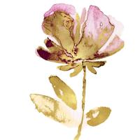 Fresh Bloom Pink II #VAU115113 Fresh Bloom Pink II #VAU115113