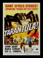 Tarantula #VM113651 Tarantula #VM113651
