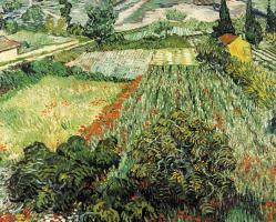 Feld mit Mohnblumen #VVG2094 Feld mit Mohnblumen #VVG2094