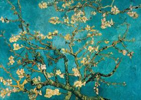 Mandorlo in fiore #VVG2149