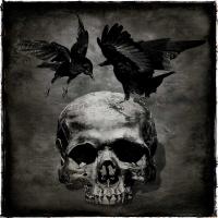 Skull with Crows #WG112367 Skull with Crows #WG112367