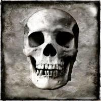 Skull I #WG112372 Skull I #WG112372