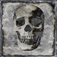 Skull III #WG112374 Skull III #WG112374