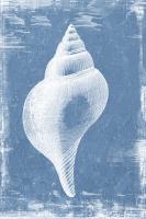 Gifts from the Sea II #WL367-A Gifts from the Sea II #WL367-A