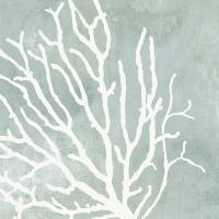 Sea Crown I #WL368-A Sea Crown I #WL368-A