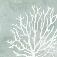Sea Crown II #WL369-A Sea Crown II #WL369-A
