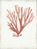 Ocean is Never Enough #WL374-A Ocean is Never Enough #WL374-A