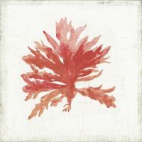 Ocean Gifts II #WL376-A Ocean Gifts II #WL376-A