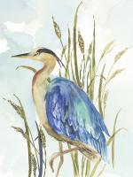 Little Blue Heron #WL377-A Little Blue Heron #WL377-A