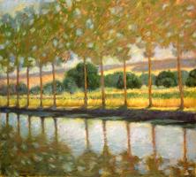 Trees Along a Canal #77751