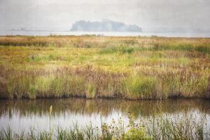 Marsh 1 #92232 Marsh 1 #92232