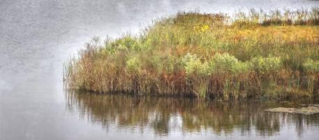 Marsh 2 #92233 Marsh 2 #92233