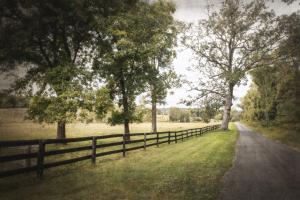 Fosters Fork Road #92235 Fosters Fork Road #92235