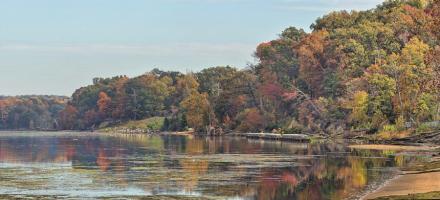 Autumn Mason Neck Virginia Potomac River #92238 Autumn Mason Neck Virginia Potomac River #92238
