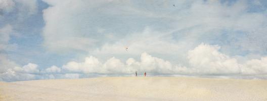 Go Fly a Kite #92245 Go Fly a Kite #92245