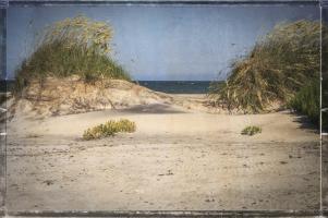 Pea Island Sand Dunes #92252 Pea Island Sand Dunes #92252