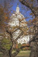 US Capitol Autumn #92303 US Capitol Autumn #92303