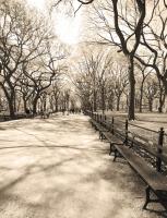 Central Park 1 #92333 Central Park 1 #92333