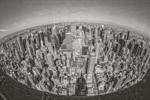 Fish Eye View #92342 Fish Eye View #92342