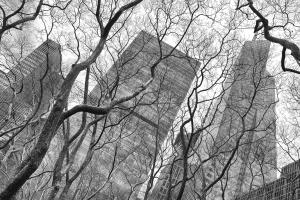 New York City Skyscrapers 1 #92344 New York City Skyscrapers 1 #92344