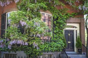 Louisburg Square #92354 Louisburg Square #92354