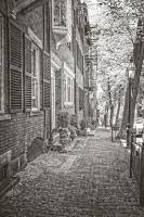 Colonial Street #92362 Colonial Street #92362