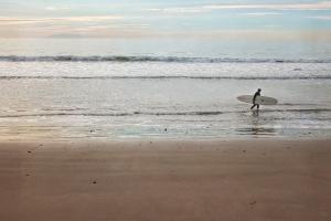 Surfer Dude #92388 Surfer Dude #92388