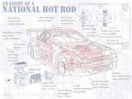 Anatomy National Hotrod #YS114471 Anatomy National Hotrod #YS114471