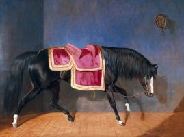 Untitled #71311 Untitled #71311