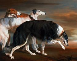 Untitled #71312 Untitled #71312