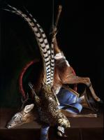 Untitled #71407 Untitled #71407