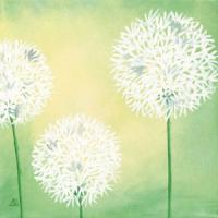 Pusteblumen II #IG 2162 Pusteblumen II #IG 2162