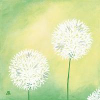 Pusteblumen III #IG 2163 Pusteblumen III #IG 2163