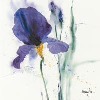 Iris I #IG 2172 Iris I #IG 2172