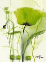 Coquelicot vert II #IG 2427 Coquelicot vert II #IG 2427