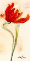 Tulipe I #IG 2887 Tulipe I #IG 2887