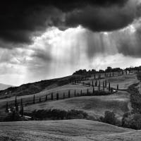 Hills of Tuscany #IG 3635 Hills of Tuscany #IG 3635