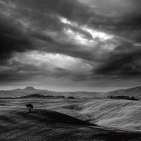 Pienza #IG 3636 Pienza #IG 3636