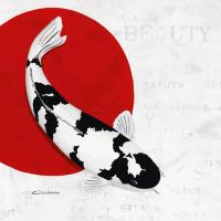 Splashing Beauty Shiro Utsuri #IG 3753 Splashing Beauty Shiro Utsuri #IG 3753