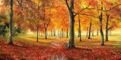Herbstimpression #IG 3991 Herbstimpression #IG 3991