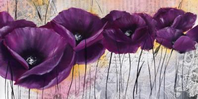 Pavot violet I #IG 3993 Pavot violet I #IG 3993