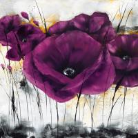 Pavot violet III #IG 3995 Pavot violet III #IG 3995