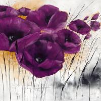 Pavot violet IV #IG 3996 Pavot violet IV #IG 3996