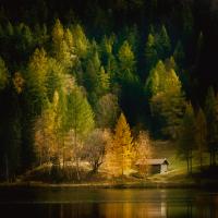 Nature Art Color I #IG 4100 Nature Art Color I #IG 4100